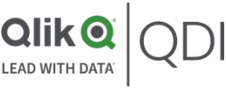 QLIK QDI